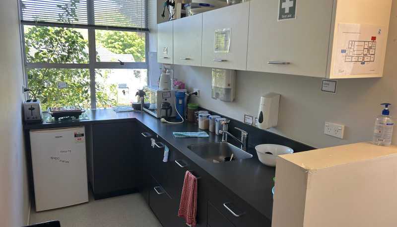 533 Grey Street, Hamilton East