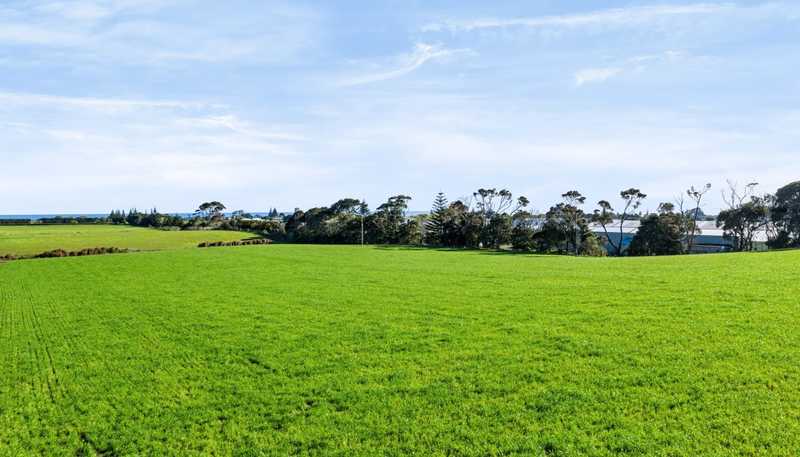 0n Ranfurly Street, Waitara