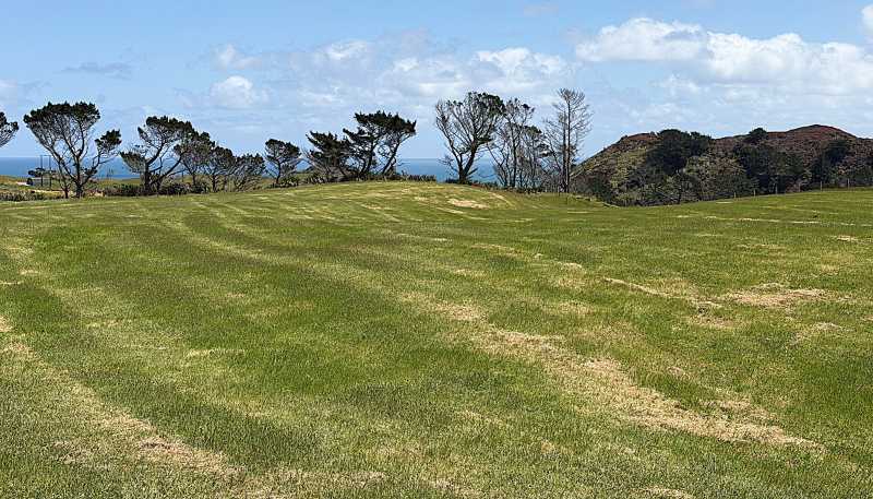 Lot 1 Redhill Road, Te Kopuru