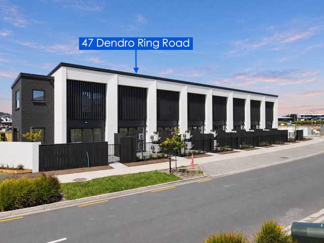 47  Dendro Ring Road, Milldale