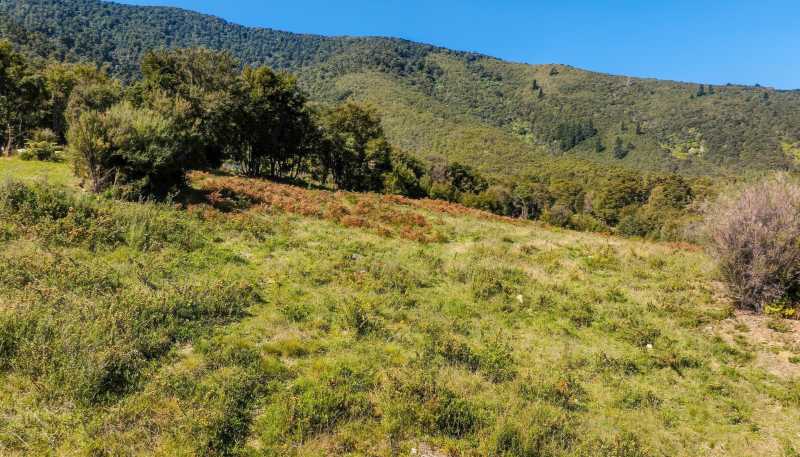 Lot 60 Orapito Road, Kaiuma Bay