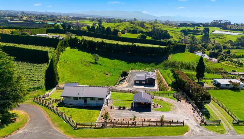 374 Youngson Road, Whakamarama