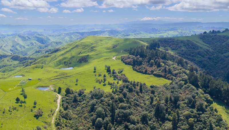 6900 State Highway 1, Mangaweka
