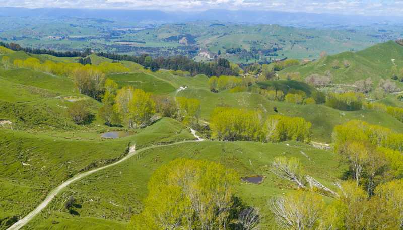 6900 State Highway 1, Mangaweka