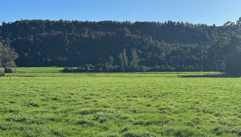 451 Umere Road, Karamea