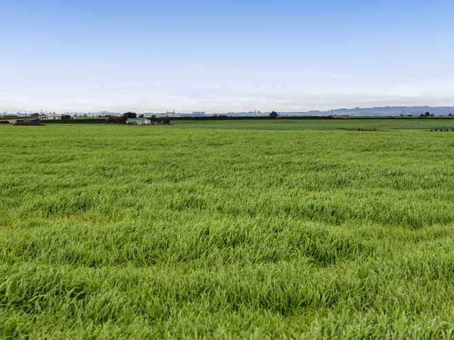 697 Ahipaipa Road, Okaiawa