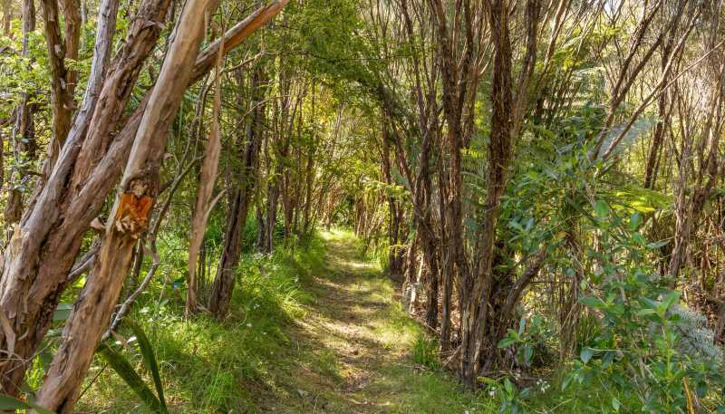 368 Kaimarama Road, Whitianga
