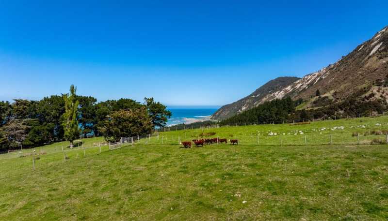 3237 State Highway 1, Waipapa Bay, Kaikoura