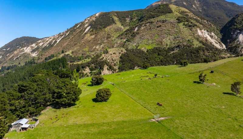 3237 State Highway 1, Waipapa Bay, Kaikoura