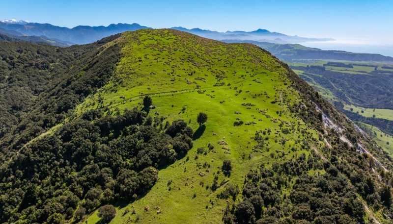 3237 State Highway 1, Waipapa Bay, Kaikoura