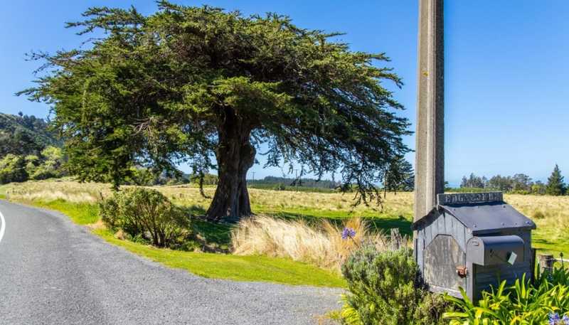 3237 State Highway 1, Waipapa Bay, Kaikoura