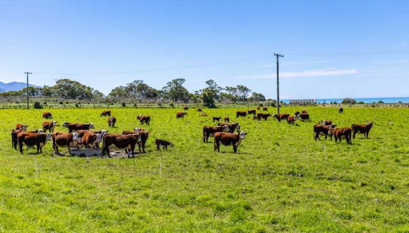 4667 State Highway 1, Clarence, Kaikoura