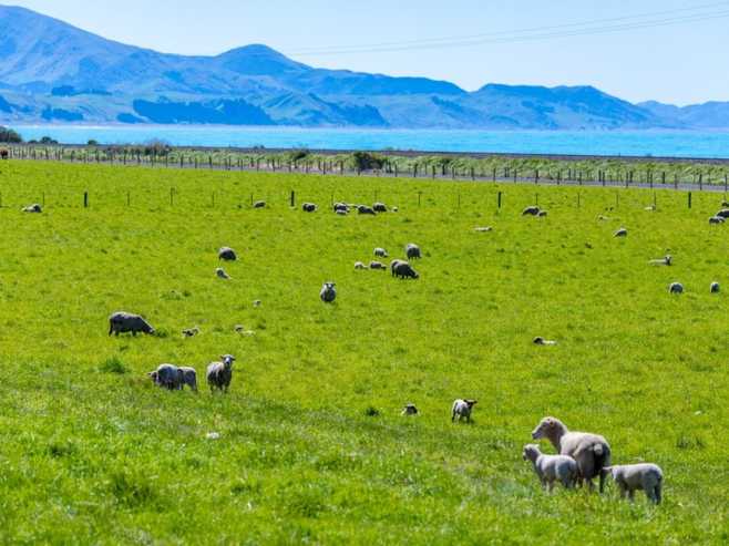 4667 State Highway 1, Clarence, Kaikoura