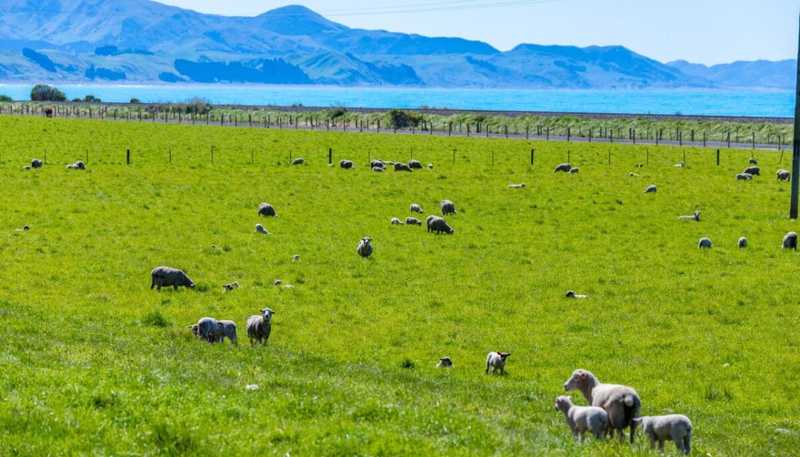 4667 State Highway 1, Clarence, Kaikoura