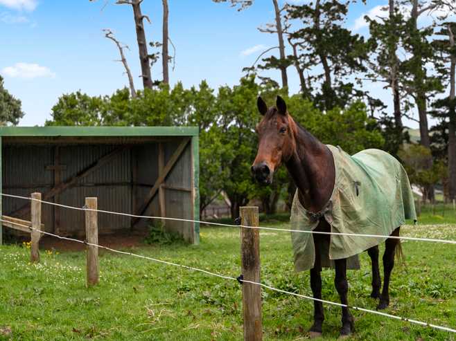 463D Wairamarama Onewhero Road, Onewhero