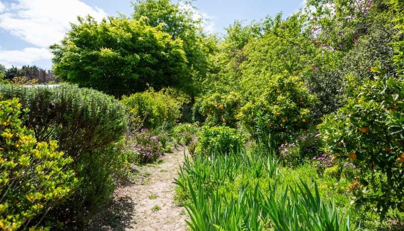 47D Poplar Lane, Matangi