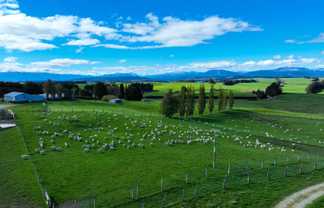 412 Kakapo Road, Te Anau