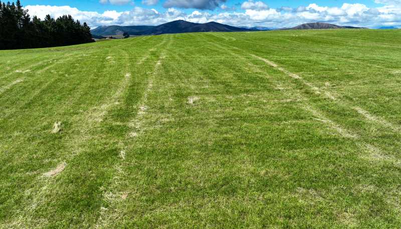 412 Kakapo Road, Te Anau