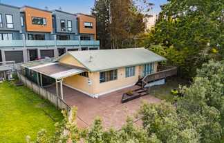 20A Pine Street, New Lynn