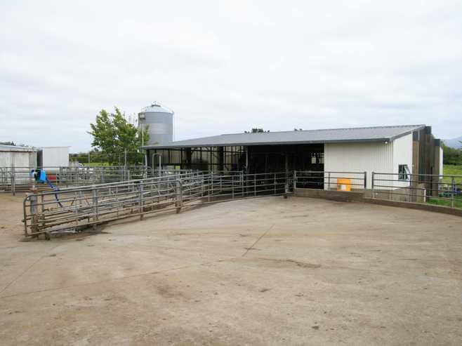 319 Dudley Road Upper, Inglewood