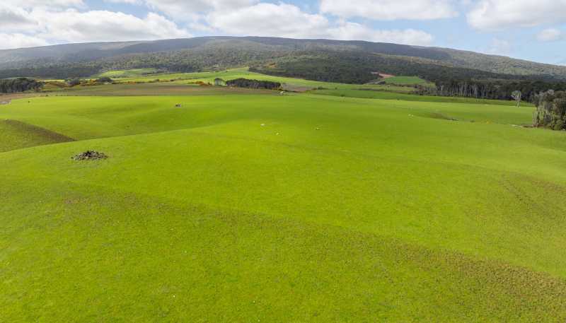 300 Waterhouse Road, Orepuki