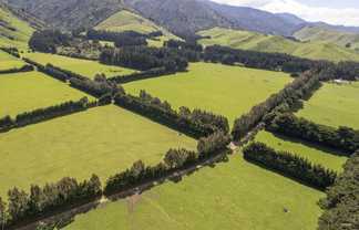 189 Thorburn Road, Dannevirke