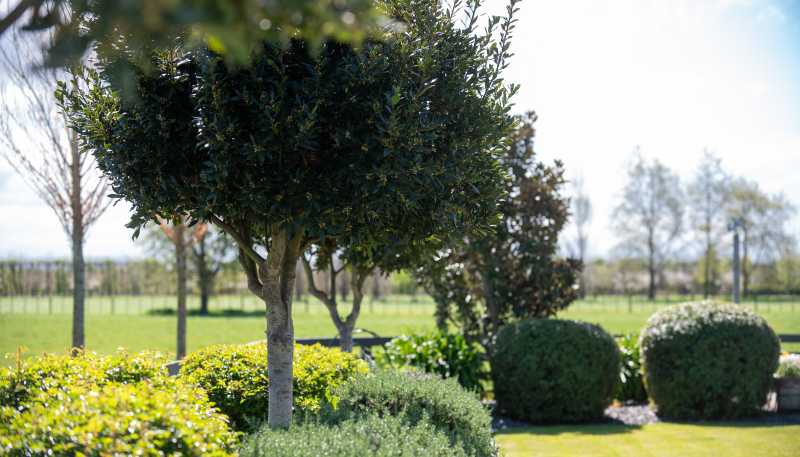 150 Te Mata Mangateretere Road, Havelock North