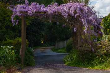 45 Worker Road, Wellsford