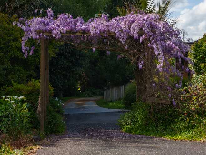 45 Worker Road, Wellsford