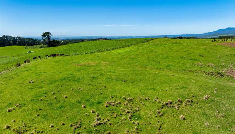 383 Busby Road, Katikati