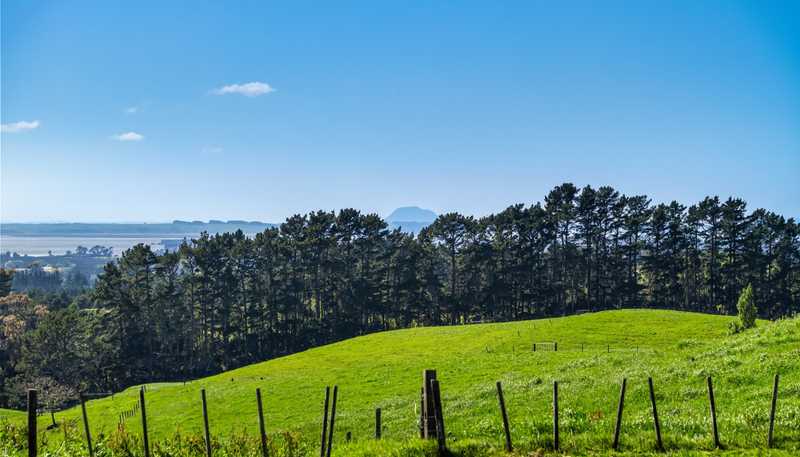 383 Busby Road, Katikati