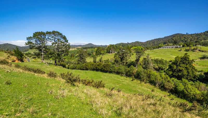 383 Busby Road, Katikati
