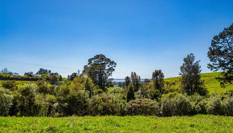 383 Busby Road, Katikati