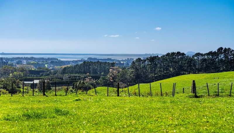 383 Busby Road, Katikati