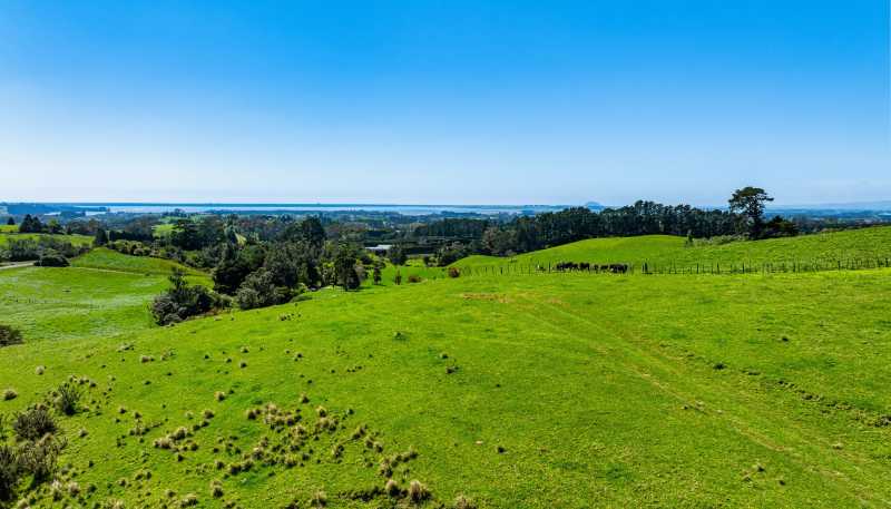 383 Busby Road, Katikati