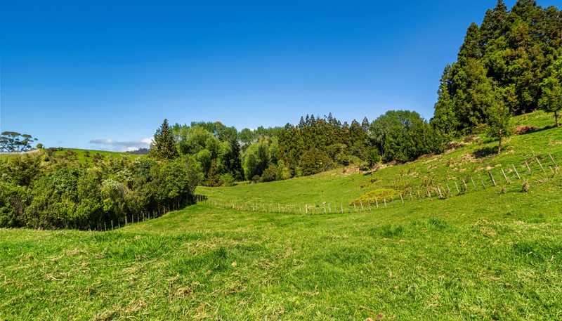 383 Busby Road, Katikati