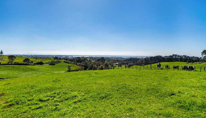 383 Busby Road, Katikati