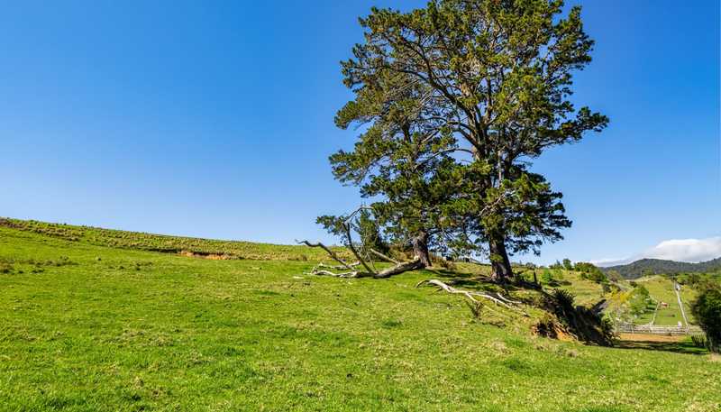 383 Busby Road, Katikati