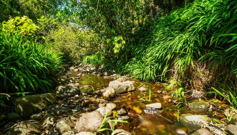 383 Busby Road, Katikati