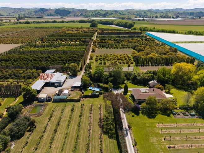 599 Bushmere Road, Waerengaahika