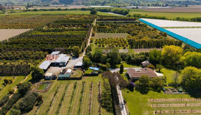 599 Bushmere Road, Waerengaahika