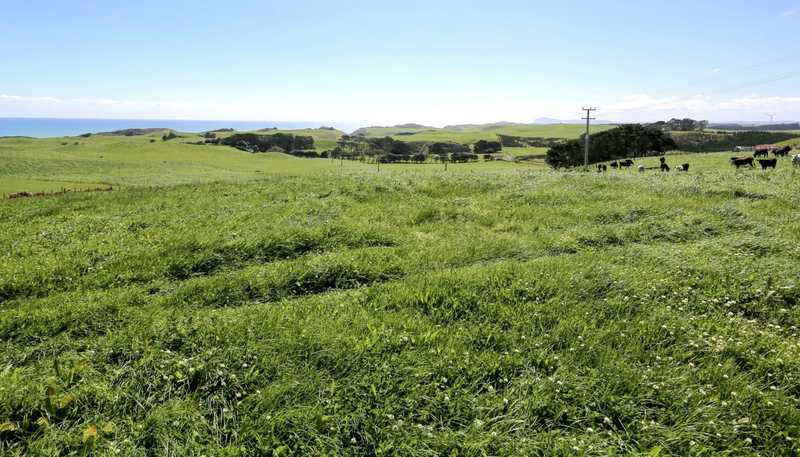 Lot 1 and  Basin Road, Omamari