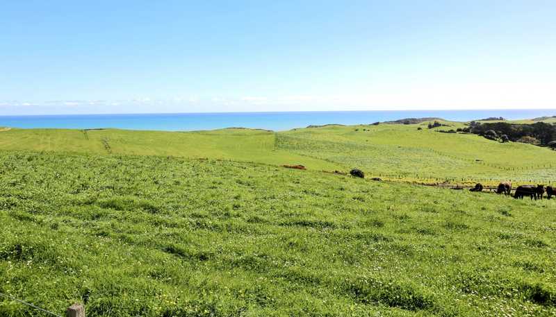 Lot 1 and  Basin Road, Omamari