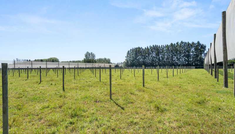 390 Macdonald Road, Te Teko