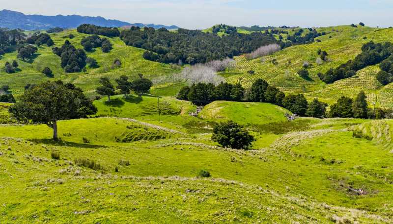  1334 Pukehuia Road, Tangiteroria
