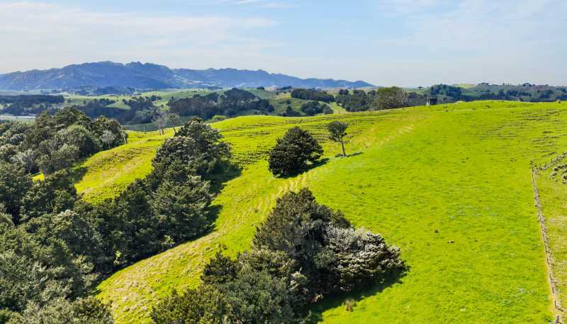  1334 Pukehuia Road, Tangiteroria