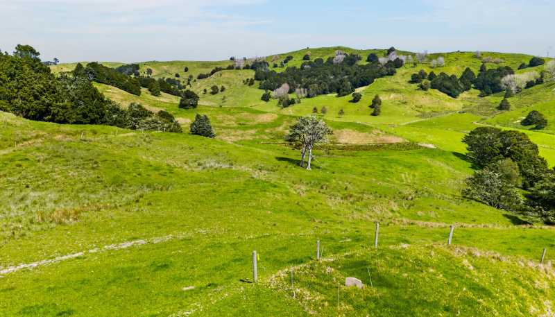  1334 Pukehuia Road, Tangiteroria