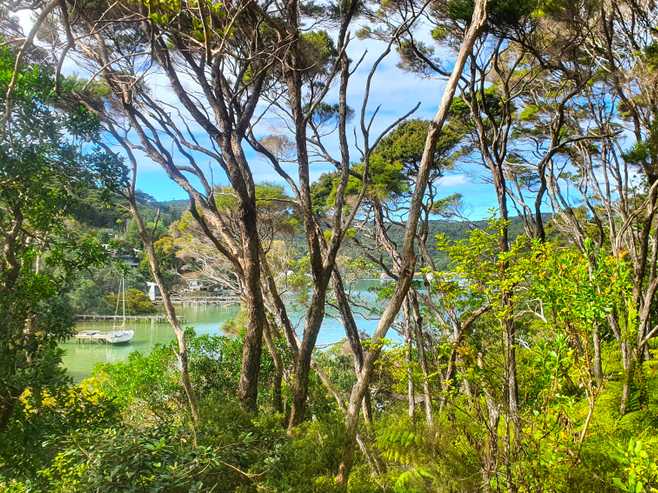 Lot 4 DP66008 North Cove, Kawau Island
