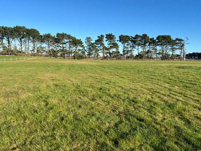 1169 Motu Rimu Road, Motu Rimu