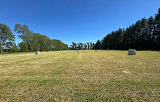 732 Rangiora Leithfield Road, Leithfield